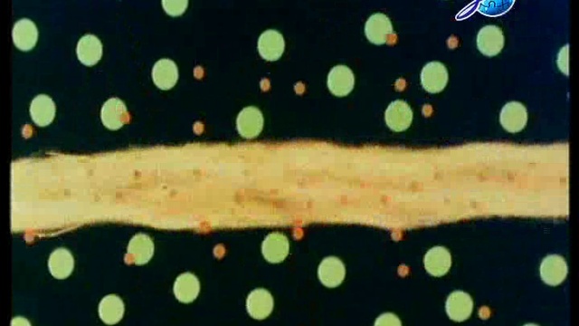 Фотография души смотреть онлайн