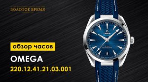 Omega Seamaster Aqua Terra 220.12.41.21.03.001