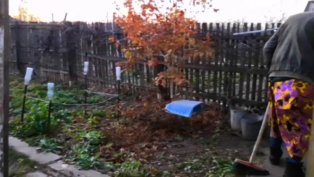 БАБА ЯГА/НЕОЖИДАННАЯ ВСТРЕЧА С БАБОЙ ЯГОЙ. смотреть онлайн