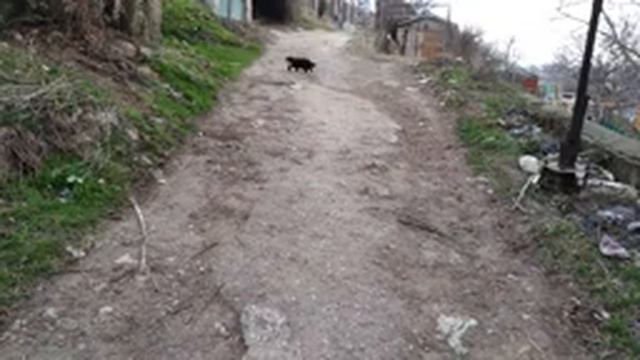 Продам дом в Севастополе КРЫМ на берегу черного моря 1 мин пешком смотреть онлайн
