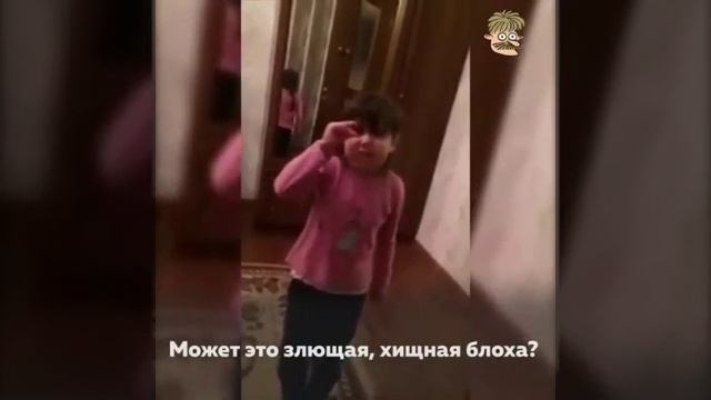 Стихи стихи стихи девочки смотреть онлайн