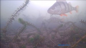 Рыбалка на Байкале. Залив провал.