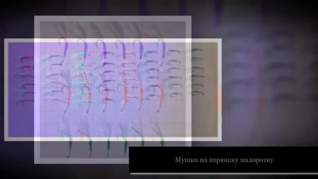 Мастерство домашнего дизайна