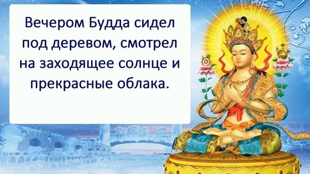 Притча Как Будда ответил на вопрос "Есть ли Бог?" смотреть онлайн