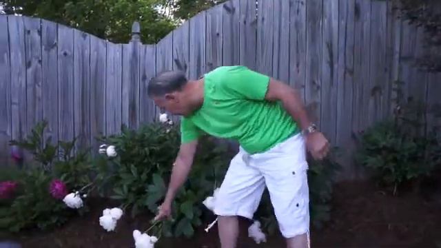Peonies смотреть онлайн