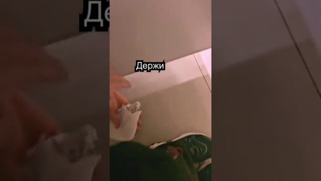 Туалетную бумагу дай смотреть онлайн