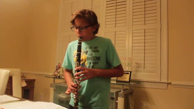 Cups When I'm gone on clarinet by Saksham смотреть онлайн