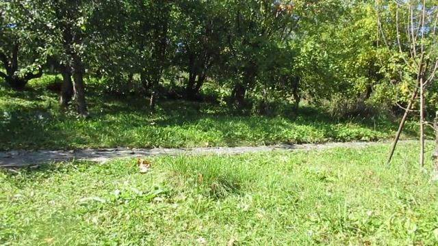 Страсть смотреть онлайн