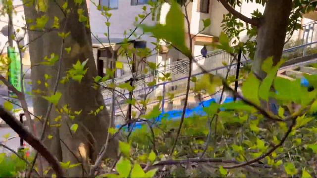 Япония. Пельмешек наелись,надо и честь знать!/Japan Vlog/ смотреть онлайн