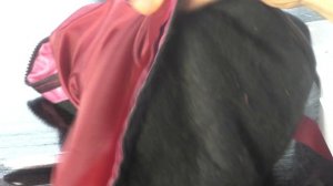 Как сшить комбинезон на подкладке с утеплителем. Пошив. Одежда для собак своими руками.Часть 3/3