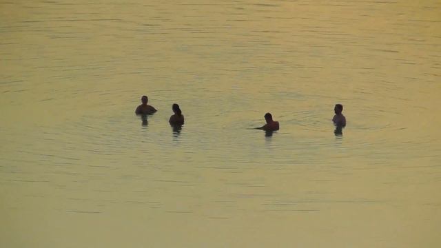 Восход солнца на Мертвом море смотреть онлайн
