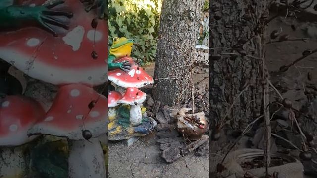 Coffee Handmade.Дерево в вазоне из кофейных зерен!