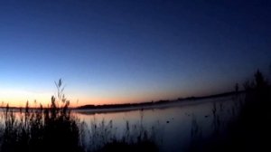 Охота на утку с МР 155 и коллиматор DOCTER®sight II. ( Утро )