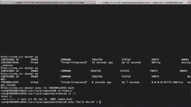 Docker and Apache | Docker and Apache Getting Started | Lesson 003 смотреть онлайн