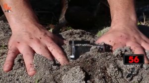 УКУСЫ ОГНЕННЫХ МУРАВЬЕВ (Красные муравьи кусают и жалят) Койот Питерсон на русском