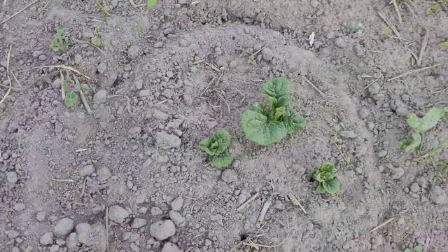 Харьков сейчас 15.05.22 пришлось пока покинуть Начинает работать общественный транспорт смотреть онлайн