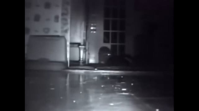 ТОП 5 лучшие видео с енотом. Енот ночью ворует. TOP 5 raccoon night. смотреть онлайн