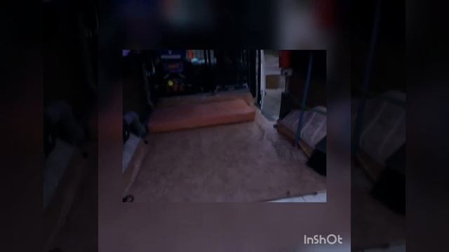 ЗооТакси,перевозка животных смотреть онлайн