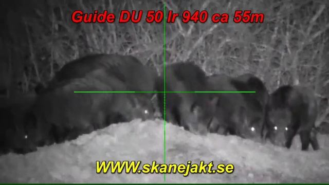 Guide Sensmart Nightvision rifle scope смотреть онлайн
