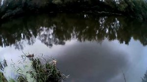 Зелёный китаец 90мм.Воблеры Косадака.