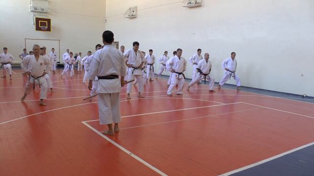 ката СК "БУДО" техника каратэ смотреть онлайн