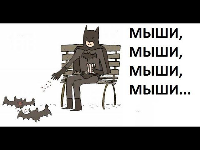 Лютые приколы. БЭТМЕН КОРМИТ МЫШЕЙ и кот новогодняя елка смотреть онлайн