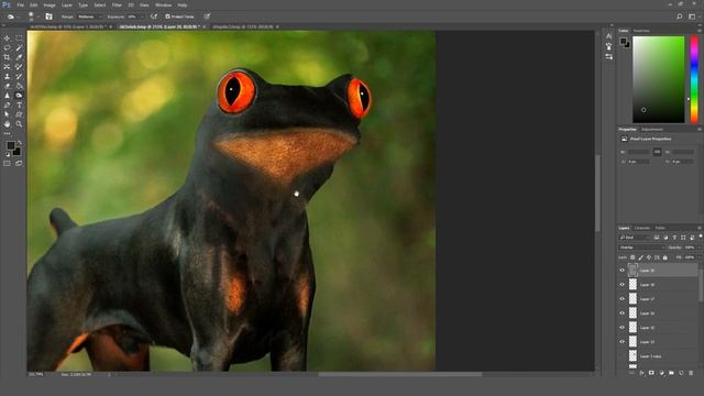 Frog and dog - Funny Photoshops #20 смотреть онлайн
