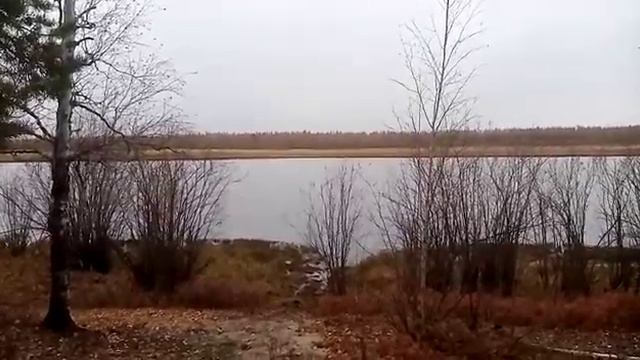 Всем привет. Всем Благ. Приобрел микрофон, проверка на качество звука. смотреть онлайн