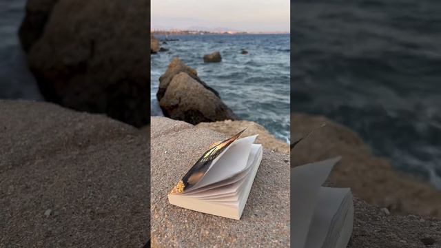 Море и книга. Что может быть лучше? смотреть онлайн
