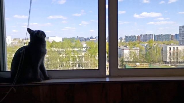 Влог : Мой типичный день // Весь день за 10 минут✔️ смотреть онлайн