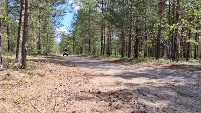 Квадроцикл PROMAX SCORPION 180CC нагрузка 2 человека! везёт! смотреть онлайн