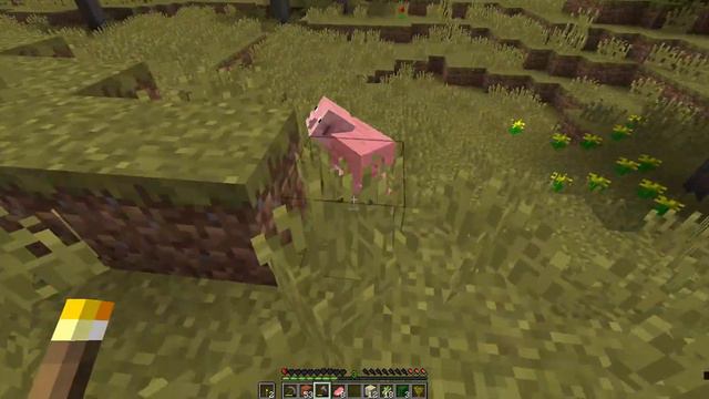 Minecraft 1.16.5 прохождение 1 часть +чмонястик смотреть онлайн