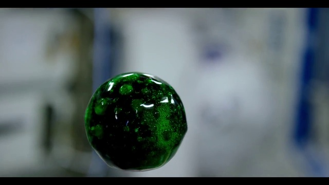 Вода с таблеткой от изжоги в невесомости смотреть онлайн