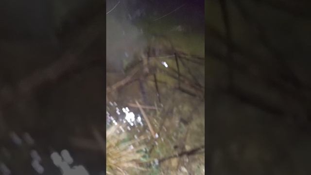 карась уплыл!Рыбалка в Крыму! смотреть онлайн