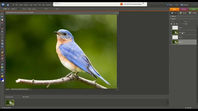 Digital Mosiac Photoshop Elements Part 2: Creating Your Layers смотреть онлайн