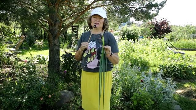 371_Параде. Понравился! Буду сажать ещё! смотреть онлайн