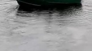 Водомёт Прогресс 2 М