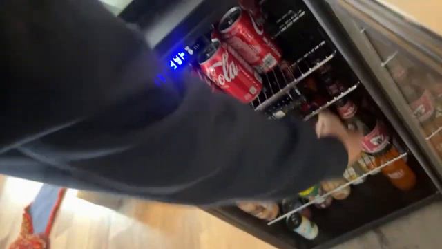 Noah The Cat is live! смотреть онлайн