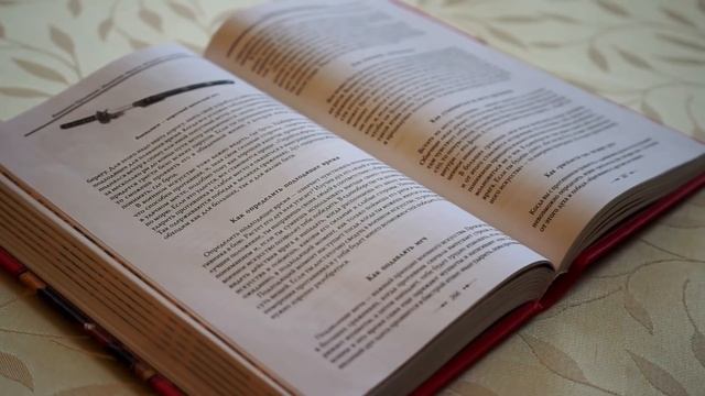 Отчёт семинара "Тактика. М.Мусаси. Книга 5 колец" [25-28.02.2016, Одесса]. Олег Мальцев смотреть онлайн