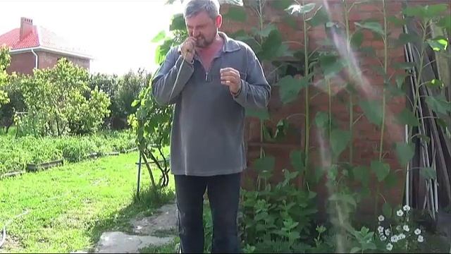 Свистулька из камыша смотреть онлайн