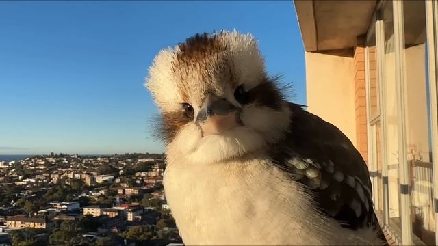 Are you filming me? смотреть онлайн