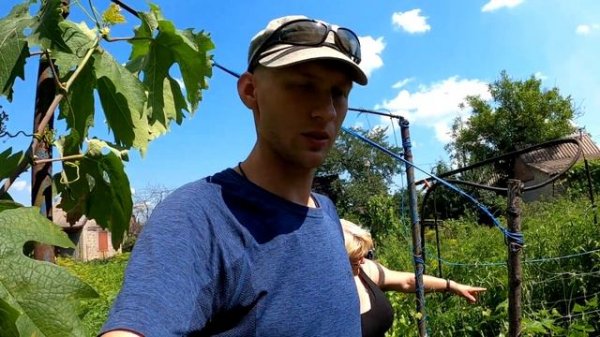 ? Что биогумус сделал с маминым урожаем. Применение биогумуса в огороде. Лучшее удобрение#DENLife