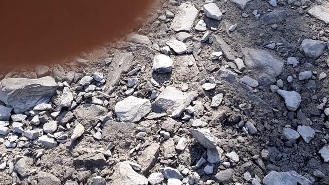 Дорога новый оскол-киселевка смотреть онлайн