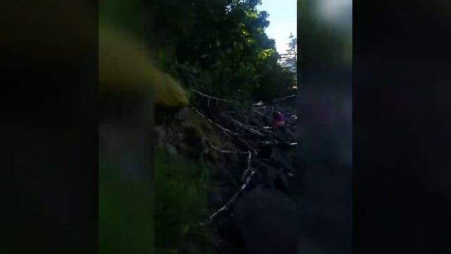 Fishing for Oregon herring. / Рыбалка на селедку штат Орегон смотреть онлайн