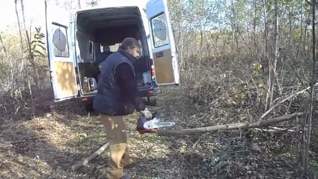 Бензопила сучкорез - Заготовка дров на зиму