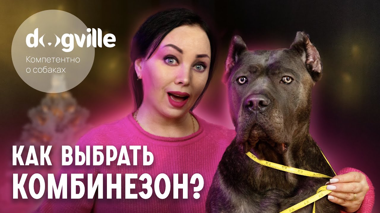 Как правильно выбрать зимний комбинезон для собаки? - Готовим питомца к зиме смотреть онлайн