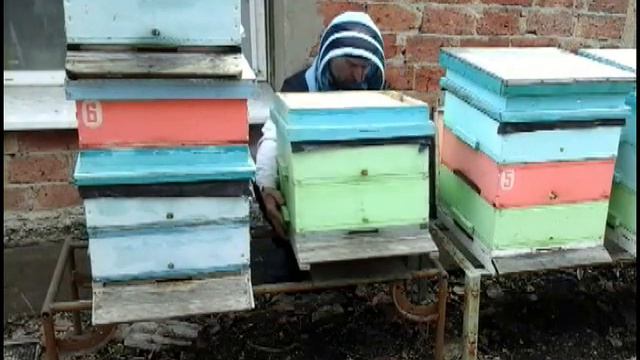 Замена доньев. Сокращение. Количество подмора. смотреть онлайн