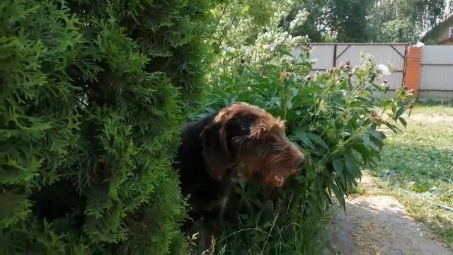 Пожелание #103