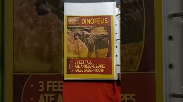 Prehistoric Planet (Season 2) - Dinofelis Profile смотреть онлайн
