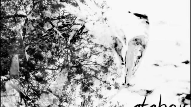 Atabey - Jungle Forest [Markus Masuhr Variance Edit] смотреть онлайн